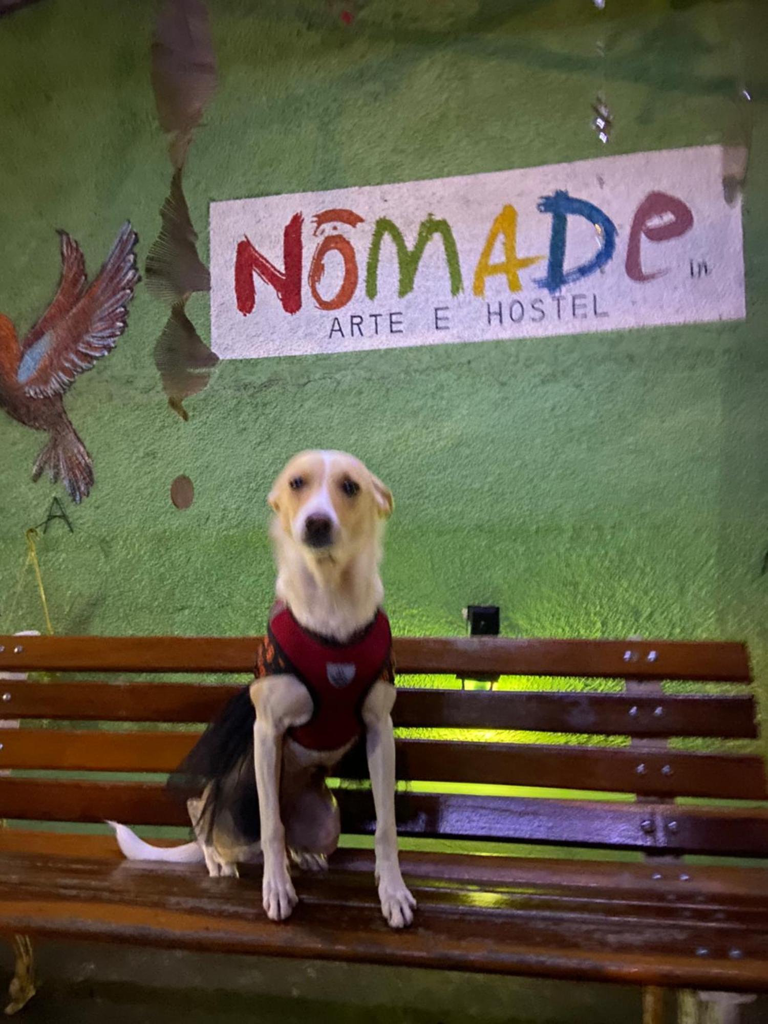 Nomade In Arte E Hostel São Paulo Exterior photo
